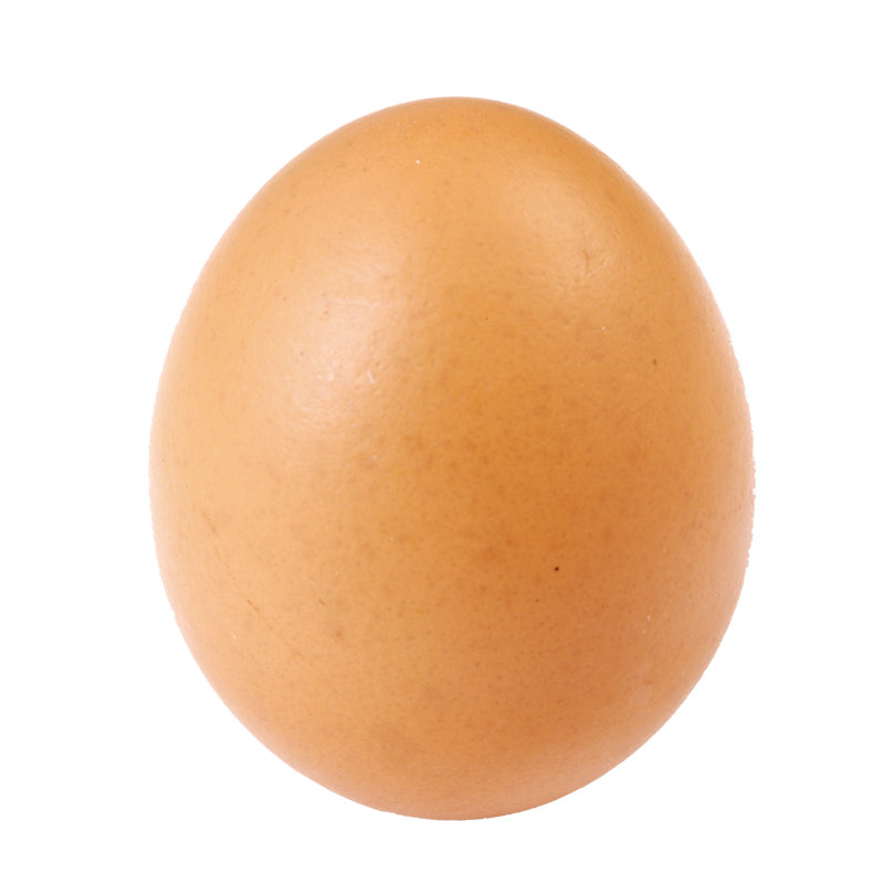Kahverengi Yumurta S