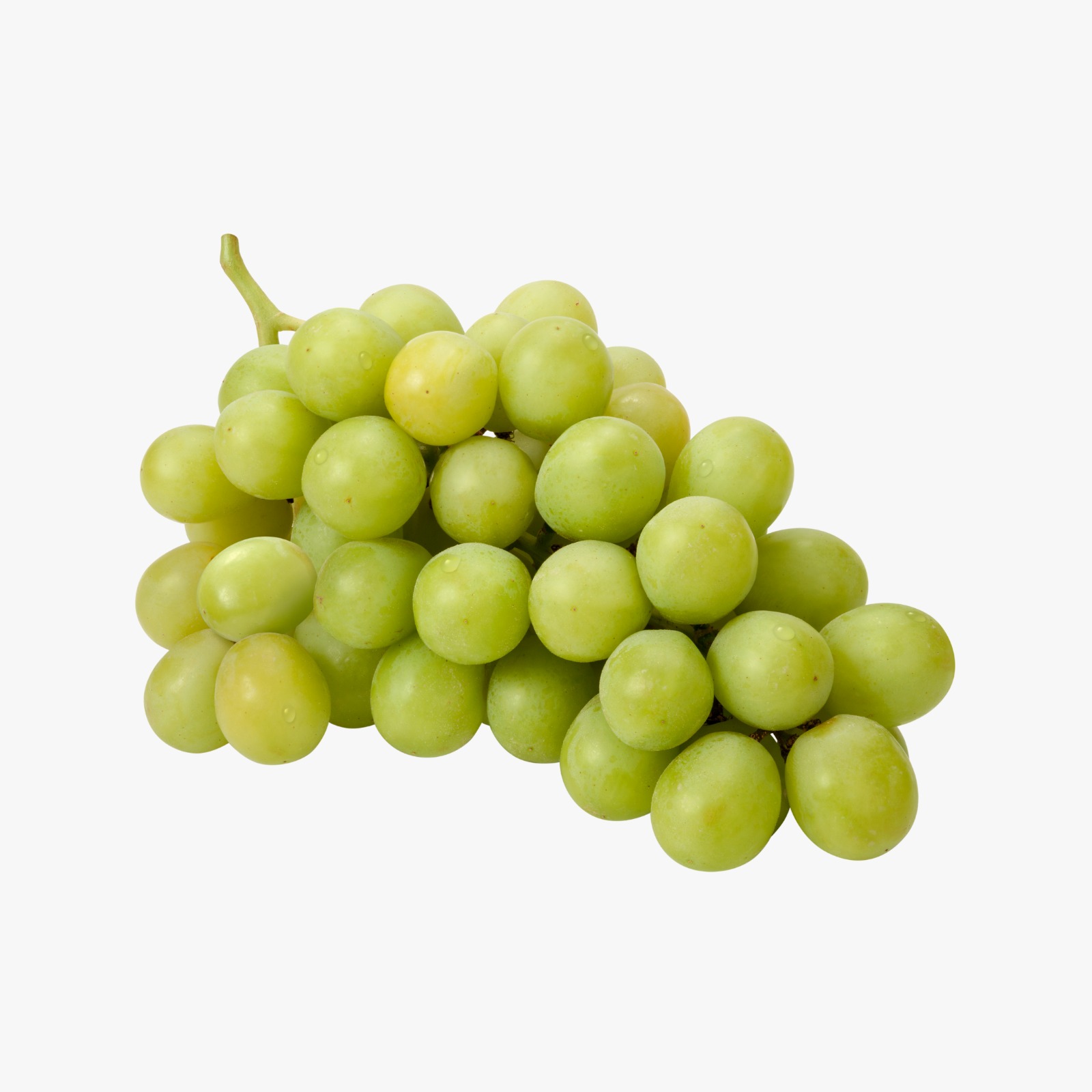 ÜZÜM